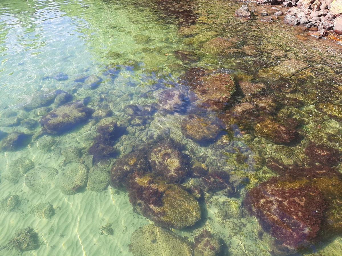Vila Casa Maravilhosa A Beira Mar Em Angra Dos Reis Exteriér fotografie